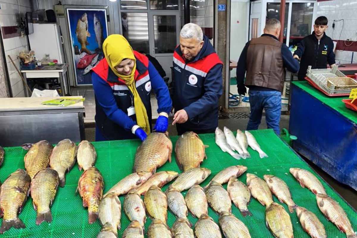 Fotoğraf: Ali Rıza Önses/ İHA