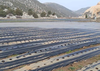 Gembos Ovası’nda taşkın sonrası hasar tespit çalışması