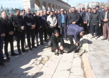 (Fotoğraf: Ali Rıza Önses / İhlas Haber Ajansı / İHA)