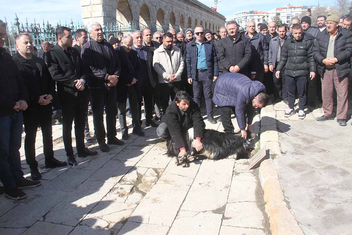 (Fotoğraf: Ali Rıza Önses / İhlas Haber Ajansı / İHA)