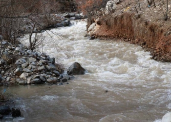 Konya’da yağış bereketi: Göksu nehri taştı