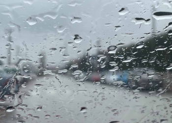 (Fotoğraf: Davut Çolak / TN)