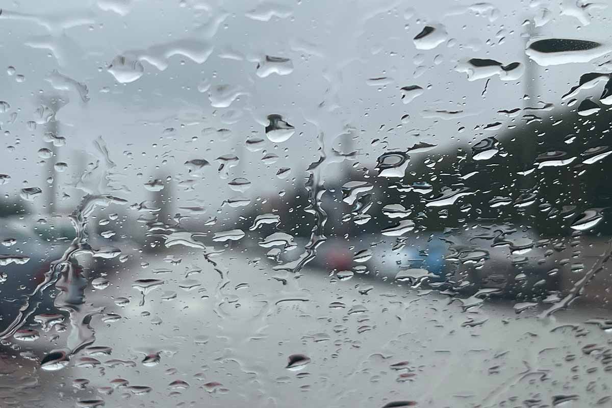 (Fotoğraf: Davut Çolak / TN)