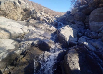 Kuraklıkla mücadele eden Karapınar’da yağış sevinci