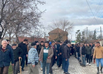 (Fotoğraf: Ali Rıza Önses / İhlas Haber Ajansı / İHA)