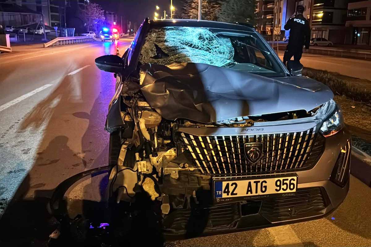 (Fotoğraf: Oğuzhan Erdoğan / İhlas Haber Ajansı / İHA)