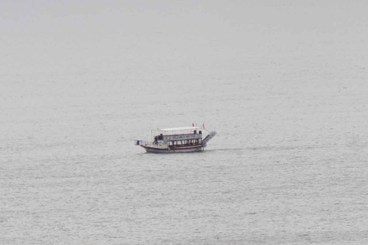 (Fotoğraf: Ali Rıza Önses / İhlas Haber Ajansı / İHA)