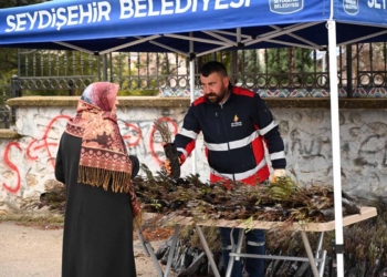Seydişehir Belediyesi’nden mezarlık ziyaretçilerine lavanta fidesi