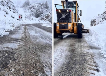 Taşkent’te kar yağışı ulaşımı etkilemedi