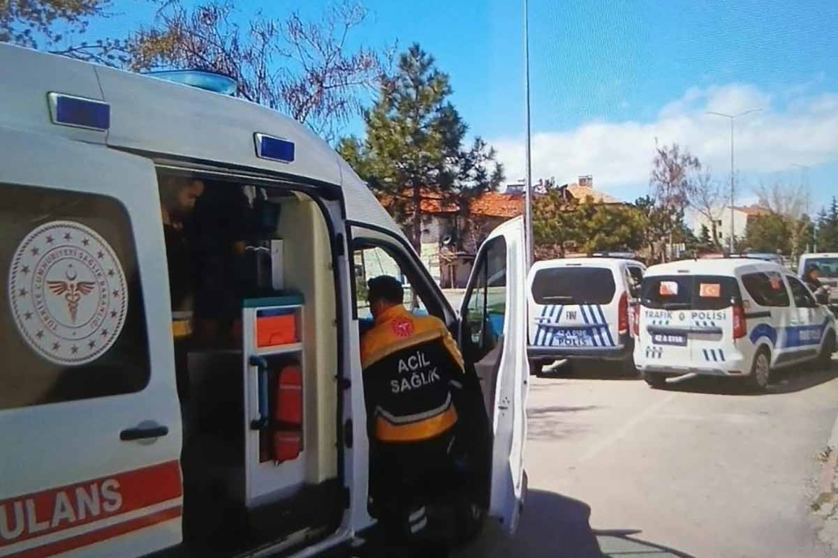 Fotoğraf: Ali Rıza Önses/ İHA