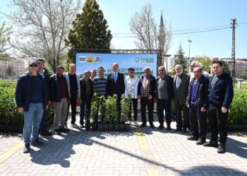 Konya Büyükşehir’den çiftçilere 31 bin 420 meyve fidanı desteği