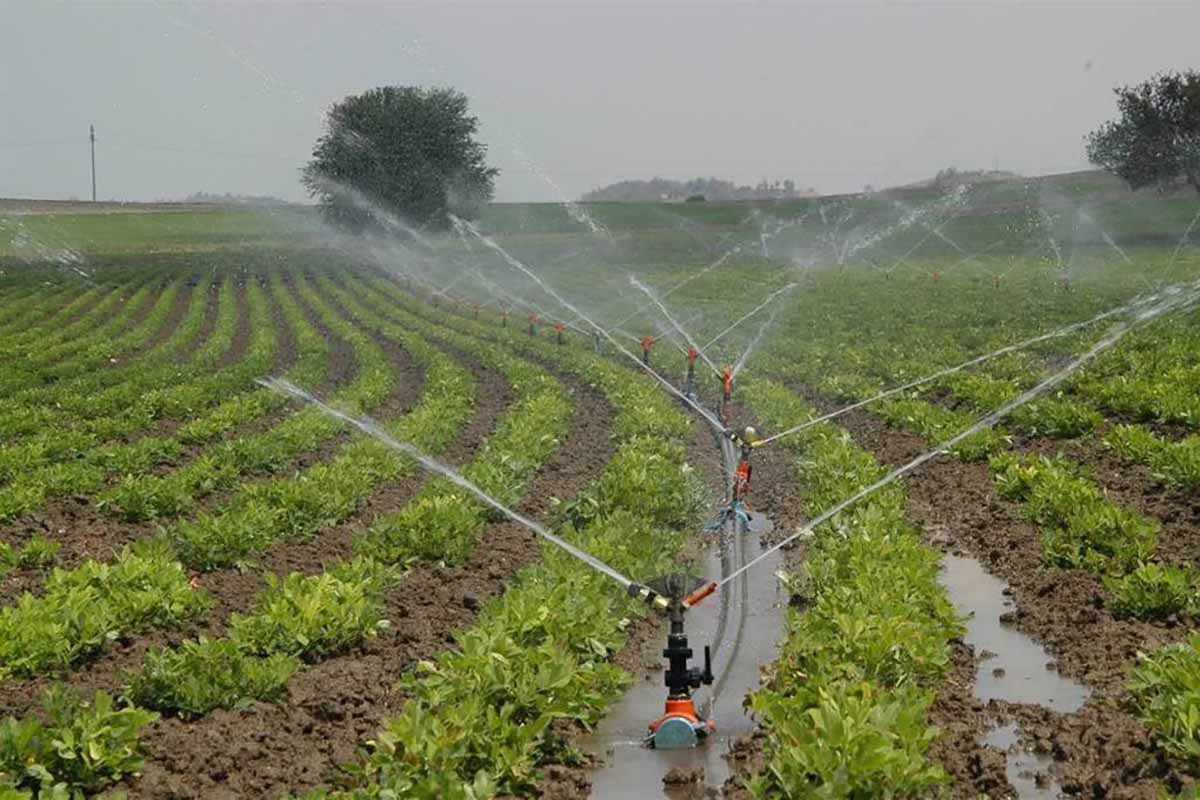Fotoğraf: Devlet Su İşleri