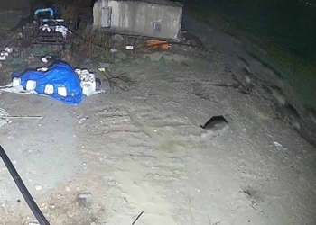 (Fotoğraf: İhlas Haber Ajansı / İHA)