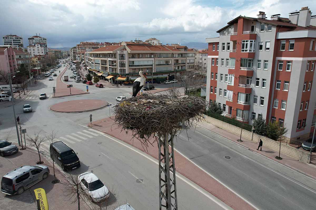 Fotoğraf :Taha Taş - İbrahim Yetkin / İHA