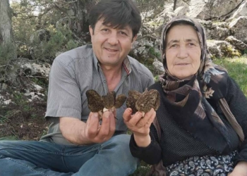 Beyşehir’de Kuzugöbeği sezonu açıldı