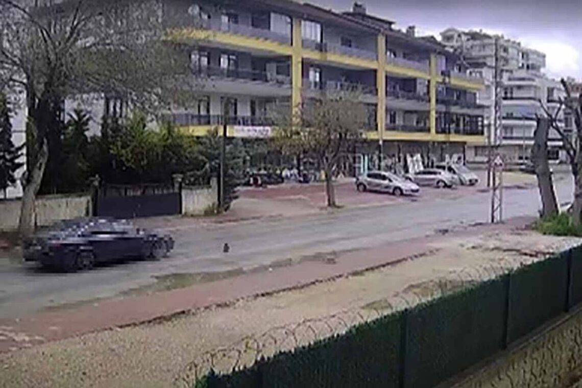 Fotoğraf: Taha Taş / İHA