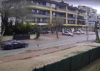 Konya’da yavru kedi, araç çarpmasıyla ölen kedinin başından ayrılmadı