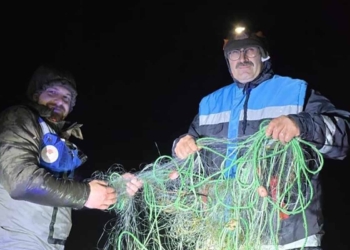 Seydişehir Suğla Gölü’nde denetim: Yüzlerce balık kurtarıldı