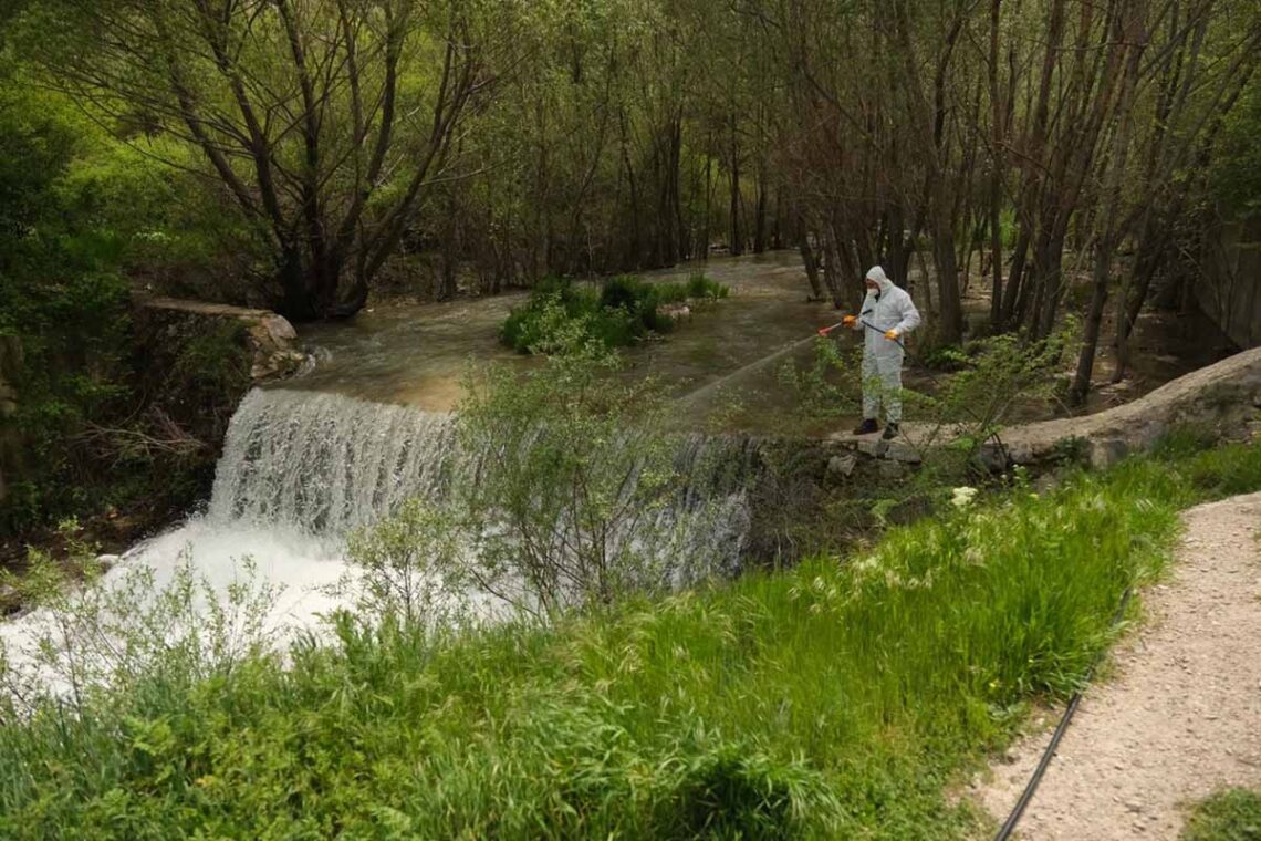 Fotoğraf: Akşehir Belediyesi