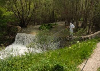 Akşehir Belediyesi’nden sivrisinekle yoğun mücadele