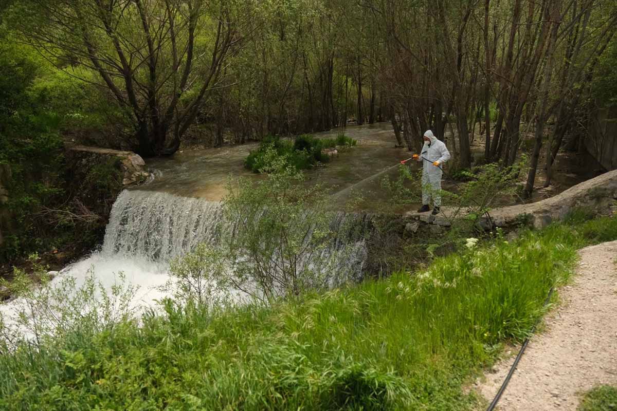Fotoğraf: Akşehir Belediyesi