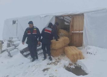 (Fotoğraf: Demirören Haber Ajansı / DHA)