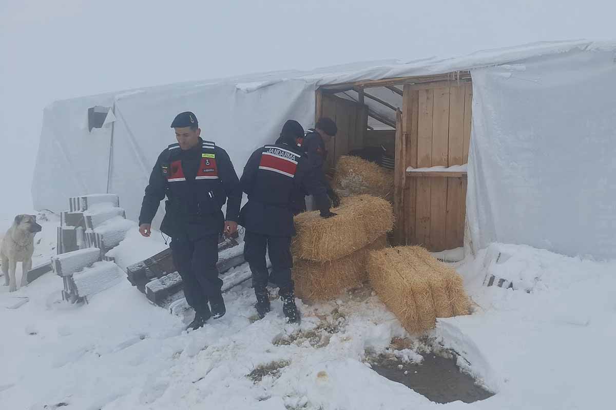 (Fotoğraf: Demirören Haber Ajansı / DHA)