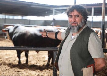 (Fotoğraf: İbrahim Yetkin / İhlas Haber Ajansı / İHA)