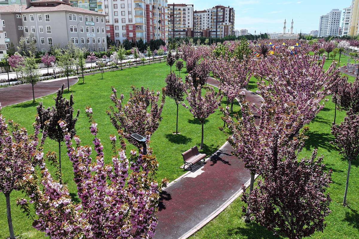 Fotoğraf: Büyükşehir Belediyesi