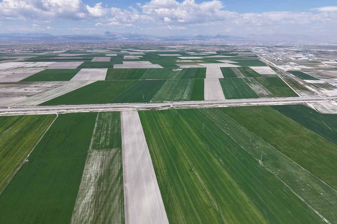 (Fotoğraf: Salih Büyüksamancı / Demirören Haber Ajansı / DHA)