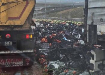 Kulu’da kaza: Meyve ve sebzeler yola saçıldı, sürücü yaralandı