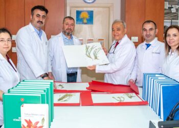 Selçuk Üniversitesinden bilim dünyasına heyecan veren keşif: 4 yeni bitki türü bulundu