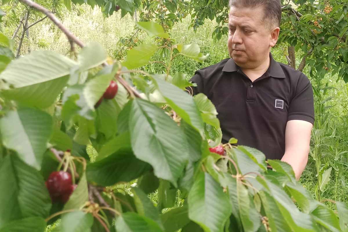 Fotoğraf: Salih BÜYÜKSAMANCI-Atilla MEMİŞ/ DHA