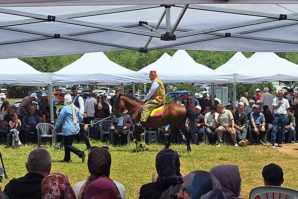 Fotoğraf: Ali Sami Palaz