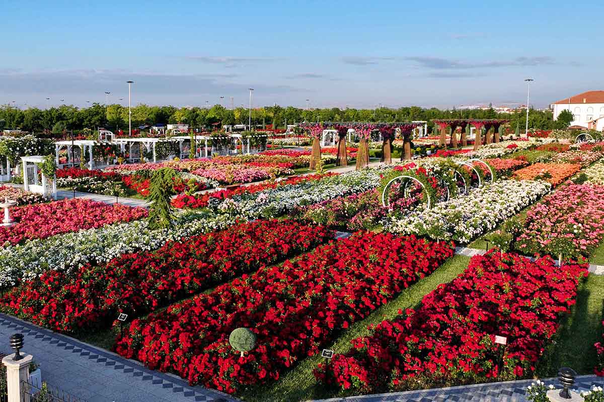Fotoğraf: Karatay Belediyesi