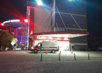Karapınar’da köpeğe çarpan otomobilde 4 kişi yaralandı