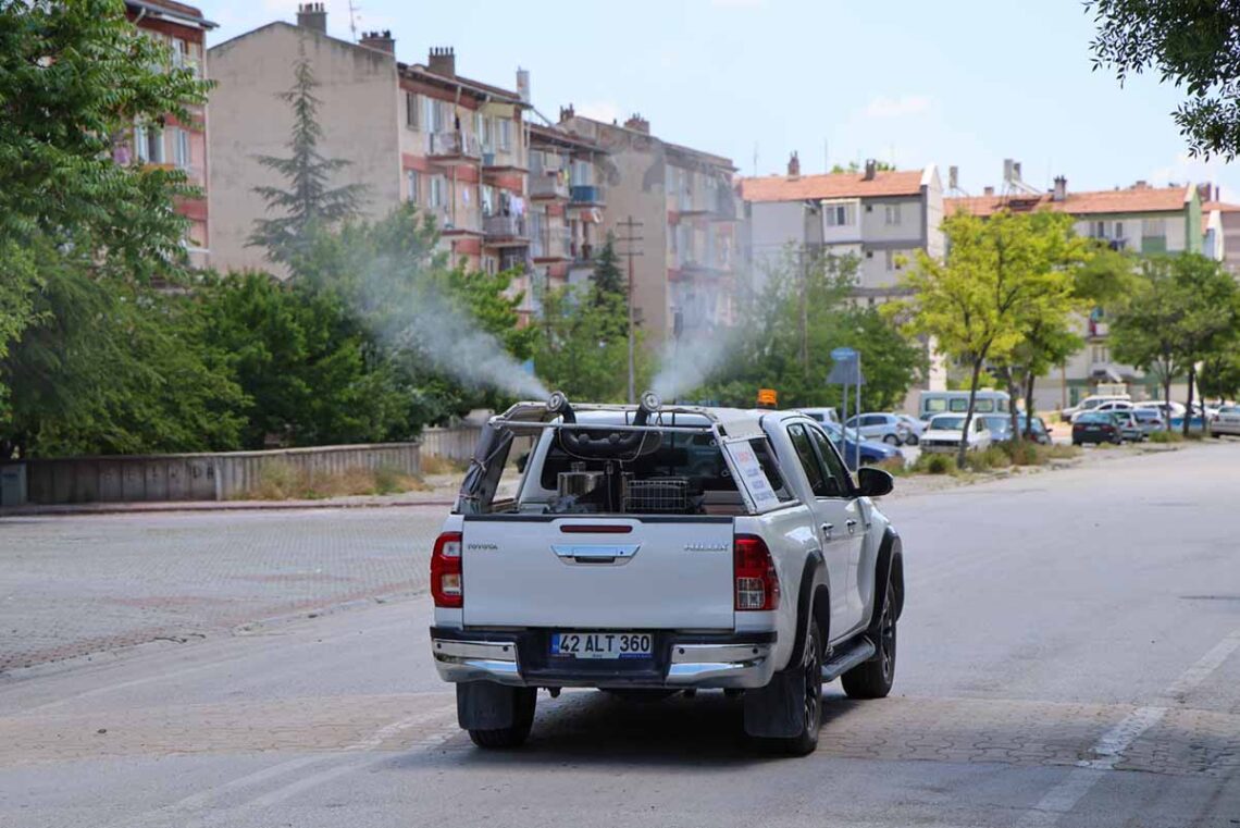 Fotoğraf: Selçuklu Belediyesi