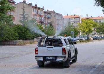 Selçuklu’da sinek ve haşerelere karşı yoğun mücadele