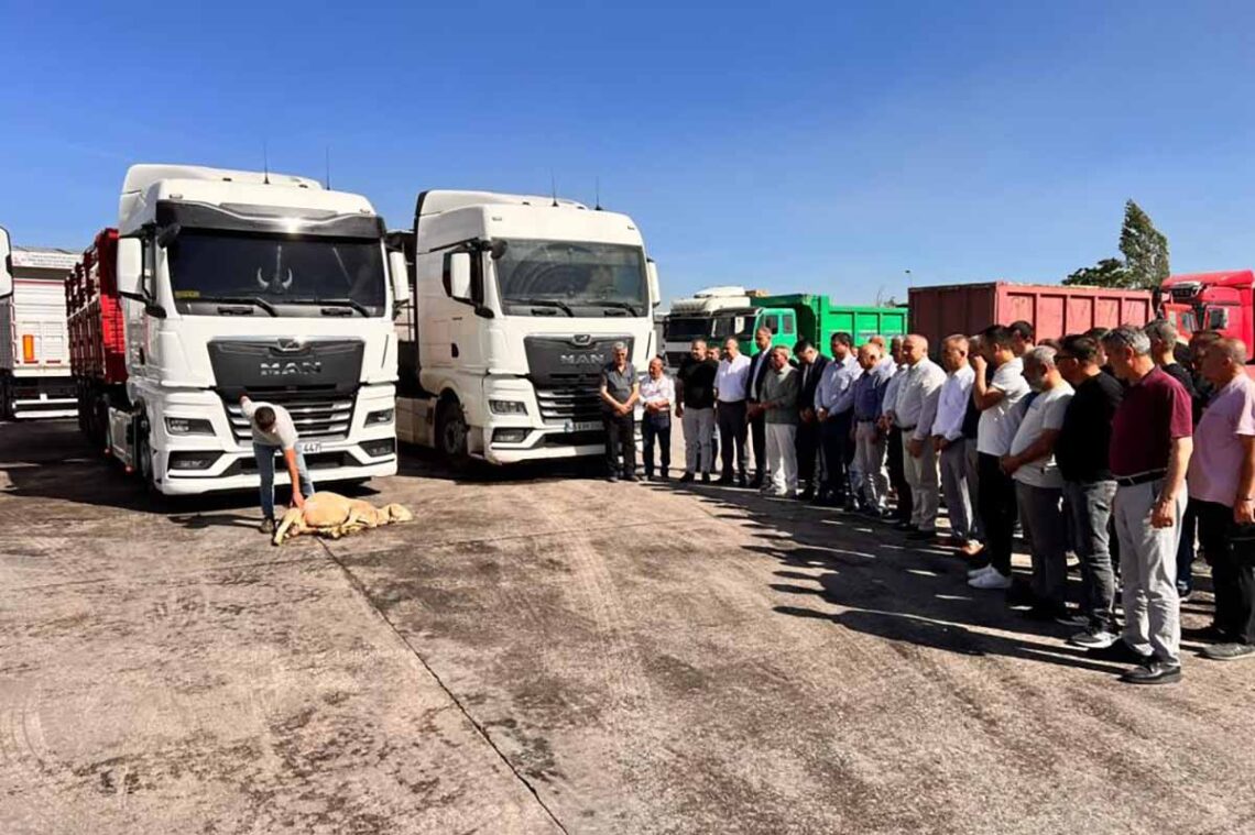 Fotoğraf: Yılmaz Sarıpınar/ İHA
