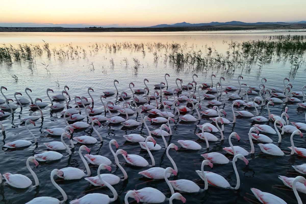 Fotoğraf: Erkan Altuntaş/ DHA