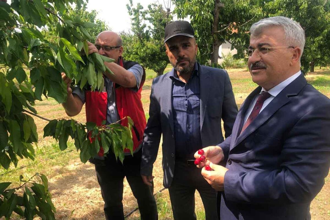 Fotoğraf: Cemal Filiz / İHA