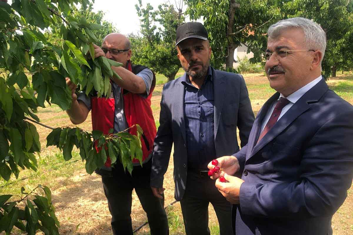 Fotoğraf: Cemal Filiz / İHA