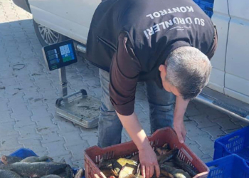 Beyşehir Gölü’nde av sezonu denetimleri sıklaştı