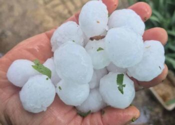 Doğanhisar Ayaslar Mahallesi’nde dolu yağışı tarım alanlarına zarar verdi