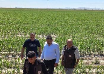 Karapınar’da dolu afetinin yaraları sarılıyor