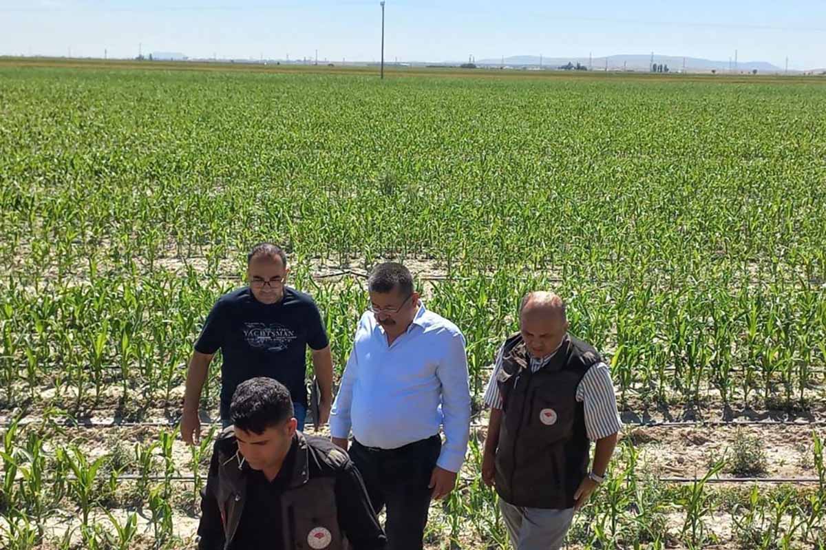 Fotoğraf: Fahri Mithat Korkusuz/ İHA