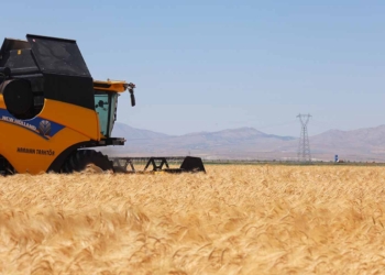 (Fotoğraf: İbrahim Yetkin / İhlas Haber Ajansı / İHA)
