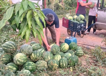 Konya’daki öğrenci yurtlarına 10 ton karpuz desteği