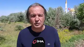 Tuz Gölü yağışlarla canlandı