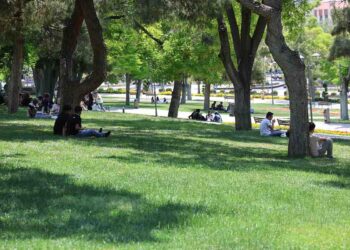 Kene vakaları arttı, uzmanlardan kritik uyarı